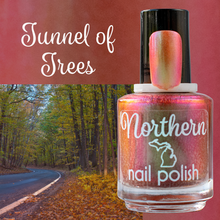Load image into Gallery viewer, Northern Nail Polish- Various Colors
