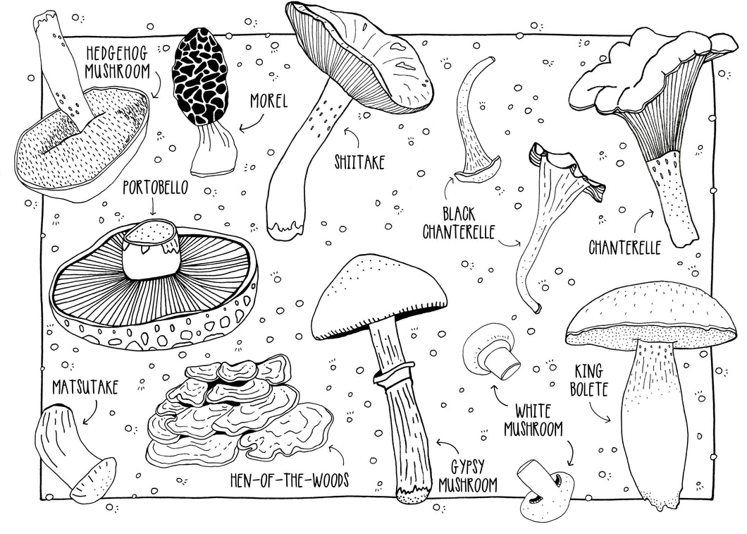 Pen+Pine - Mushrooms Coloring Postcards